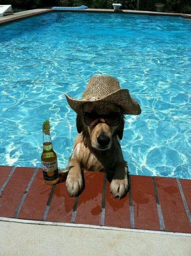 Perfume personalizado inspirado en una piscina privada: limón, menta y musk limpio