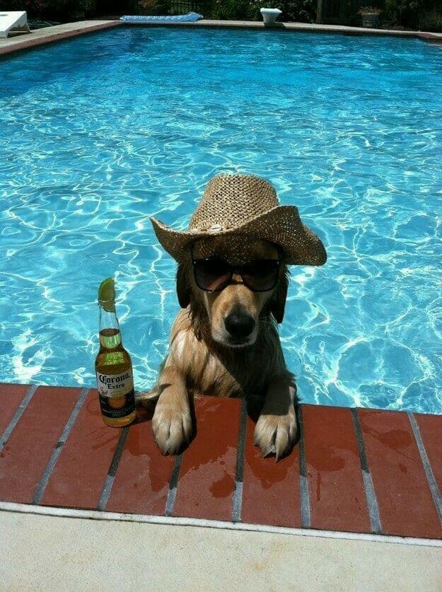 Piscina privada